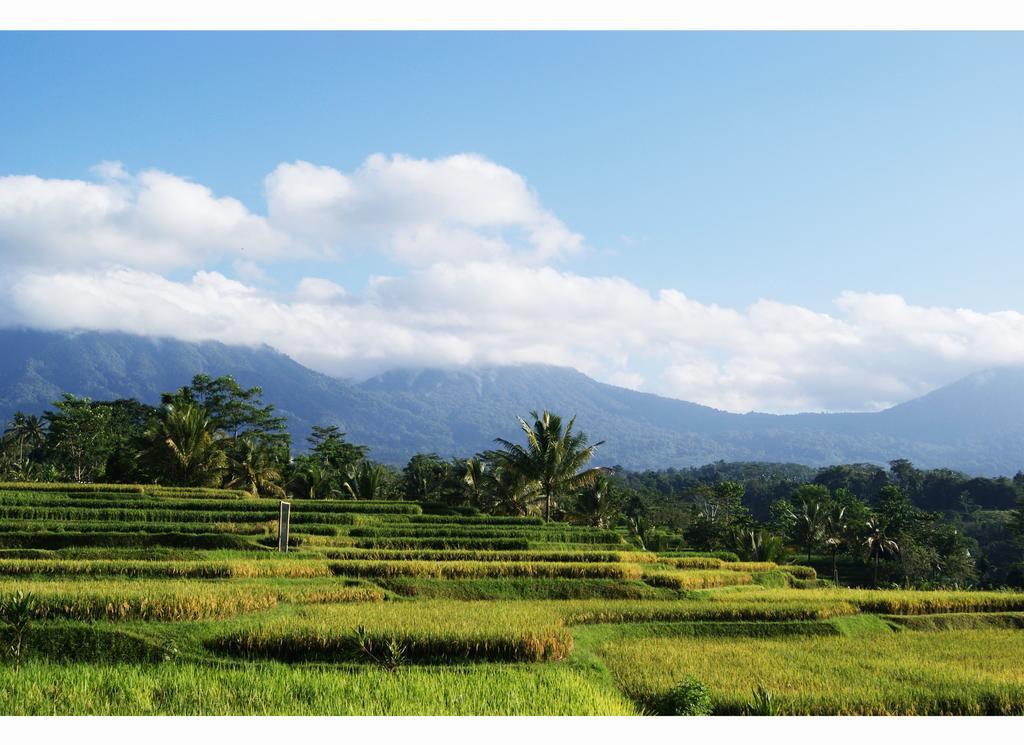 Отель Ti Amo Bali Джатилувих Номер фото
