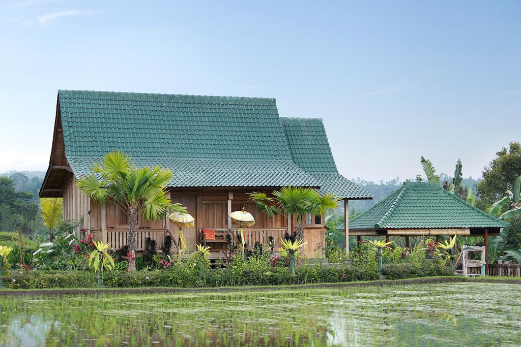 Отель Ti Amo Bali Джатилувих Экстерьер фото