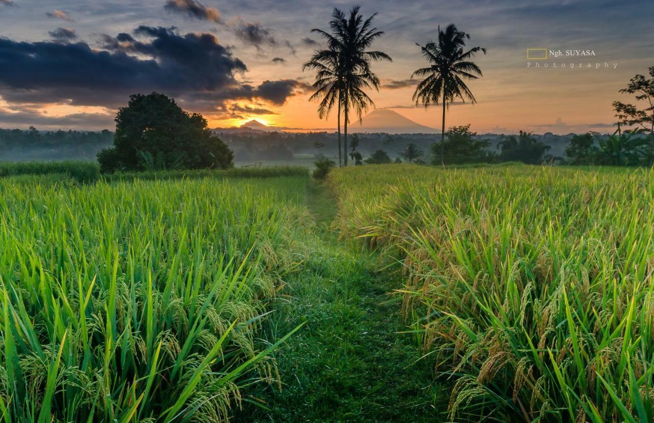 Отель Ti Amo Bali Джатилувих Экстерьер фото