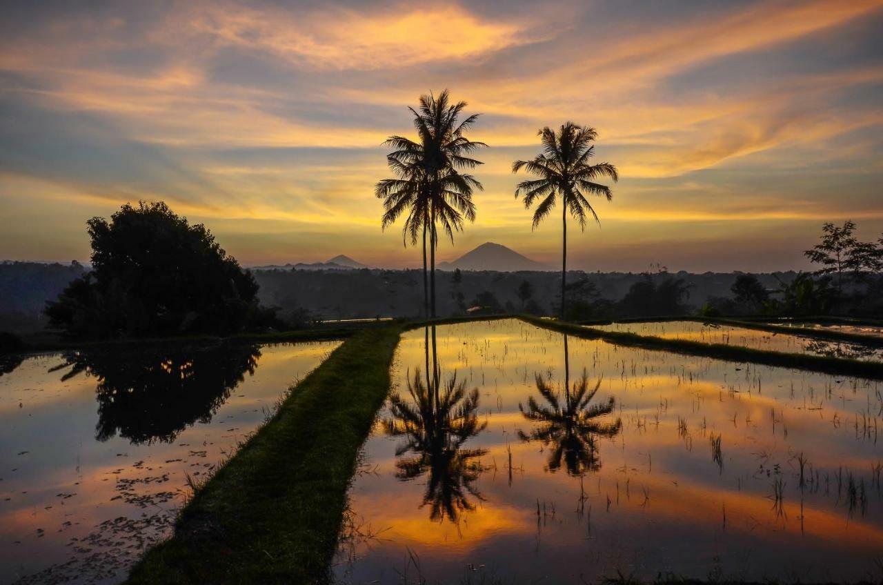 Отель Ti Amo Bali Джатилувих Экстерьер фото