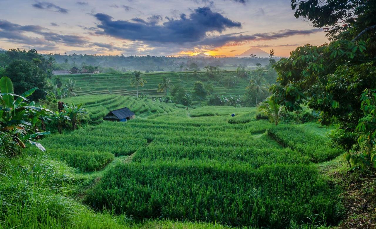 Отель Ti Amo Bali Джатилувих Экстерьер фото
